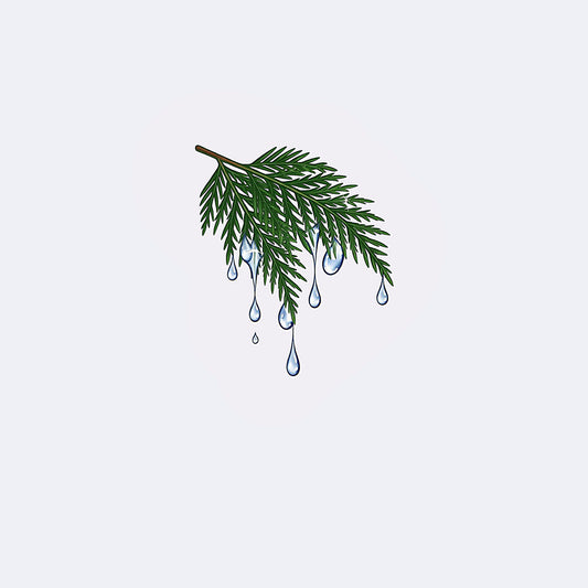 مجموعة ندي الاعشاب
